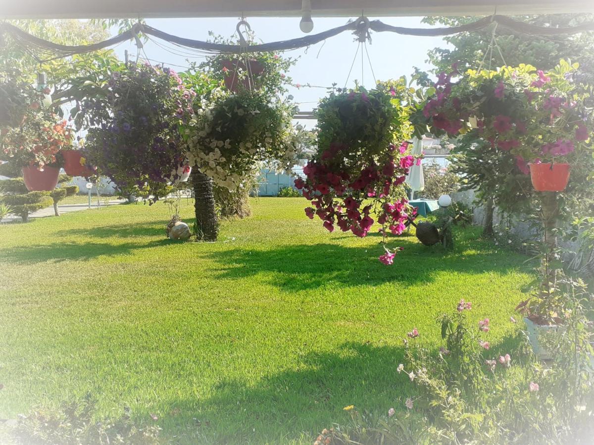 Top Floor On Villa, 3' From Center, By The Sea! Host Is Efi Kwsta プレベザ エクステリア 写真