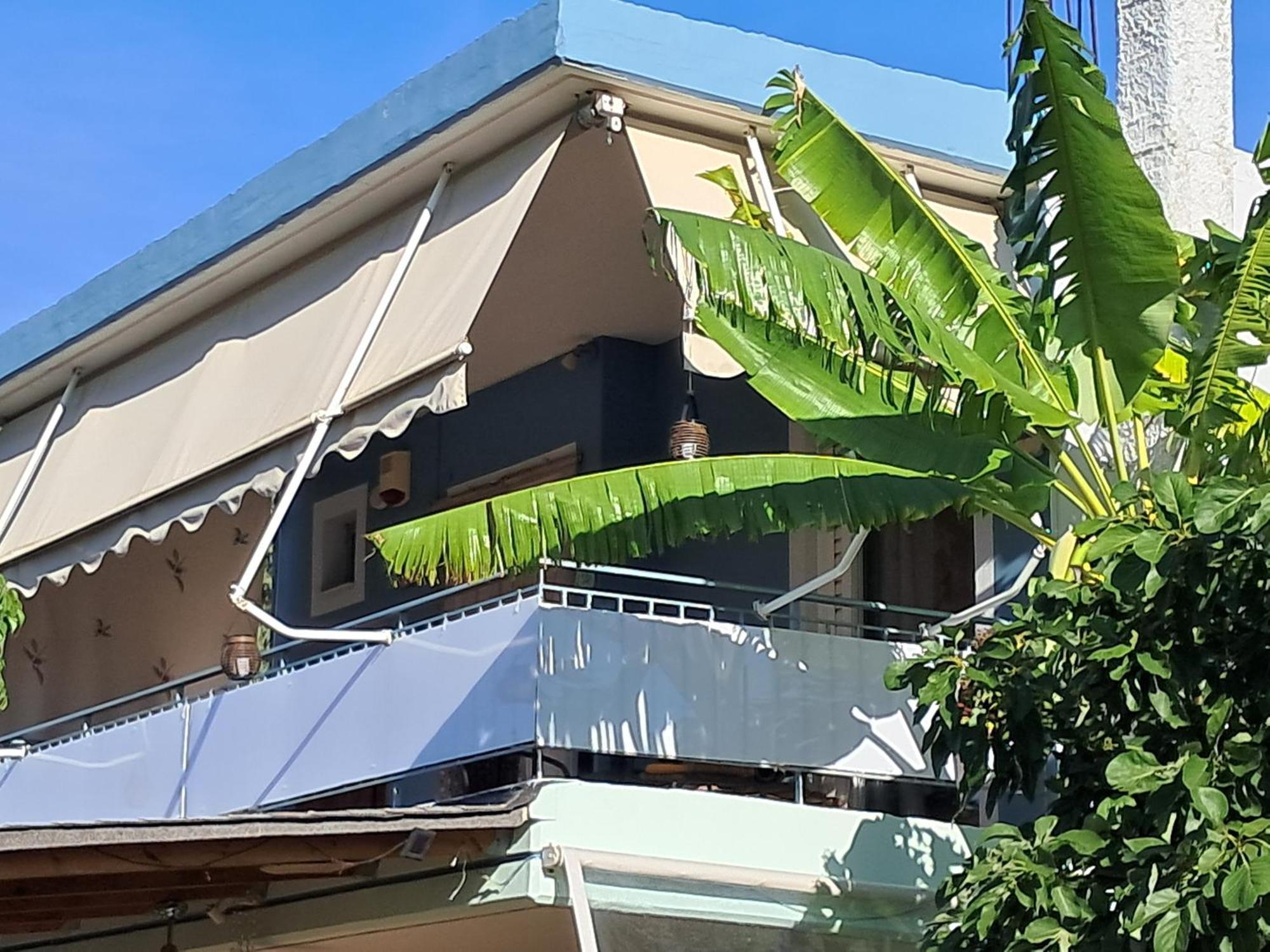 Top Floor On Villa, 3' From Center, By The Sea! Host Is Efi Kwsta プレベザ エクステリア 写真